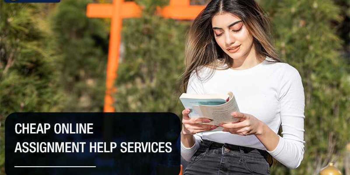 Assignment help agencies can deliver ultimately profitable assistance to students