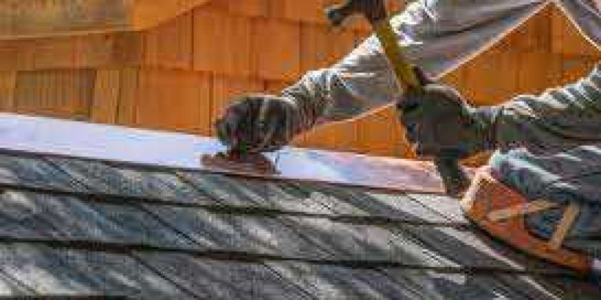 DIY vs Professional roof repairs: Which one should you choose?