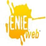 Geniez Web
