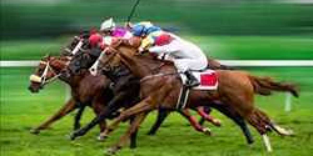 Global Horse Racing Market Size, Share, Analysis, 2030