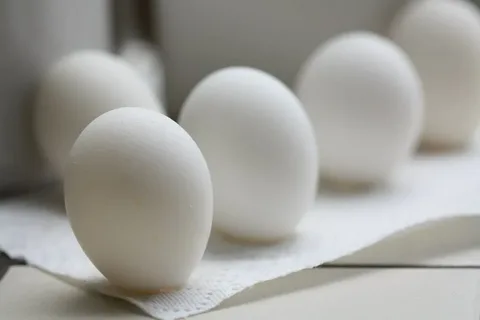 The Top 7 Health Benefits of Eating Eggs