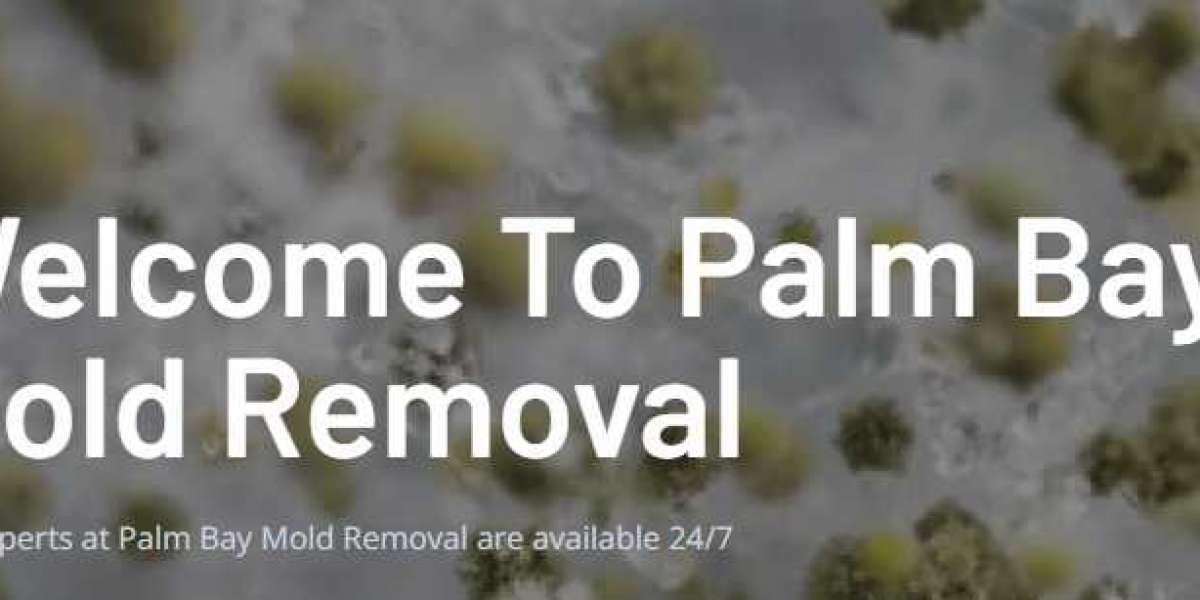 Comprehensive Mold Inspection in Palm Bay: Protecting Your Home and Health