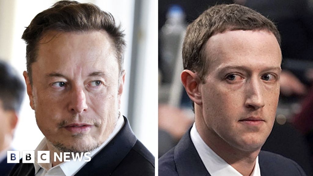 Elon Musk and Mark Zuckerberg agree to hold cage fight - BBC News