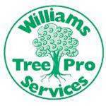 Williams Tree Pro Services