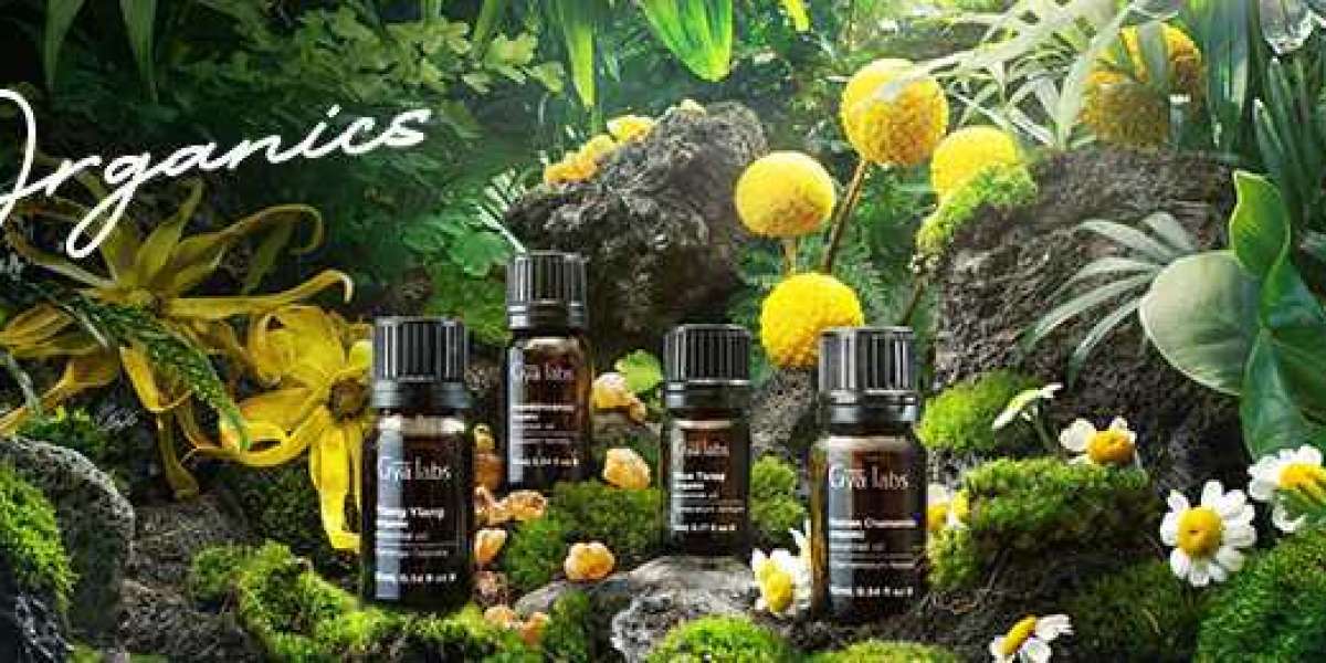 The Ultimate Guide: Where to Buy GyaLabs Organic Essential Oils