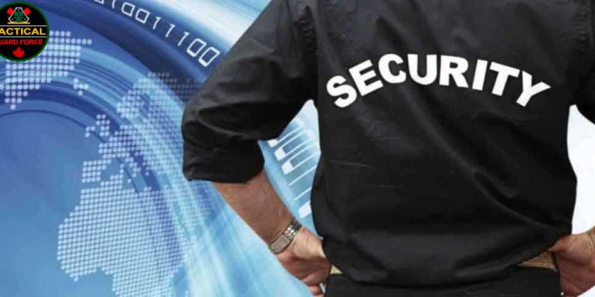 The benefits of using elite security services in Toronto
