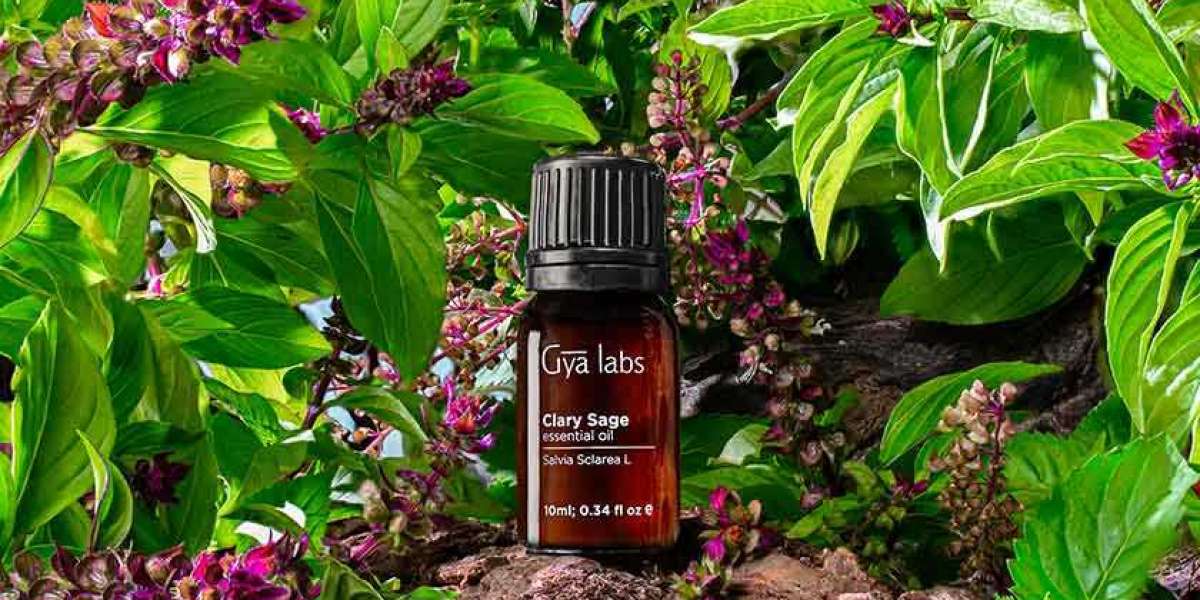 Exploring the Benefits of Organic Clary Sage Oil by GyaLabs