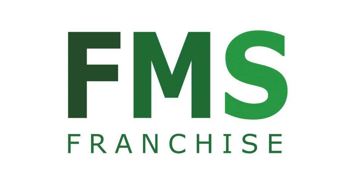 FMS Franchise USA knows the Art of Franchise Development