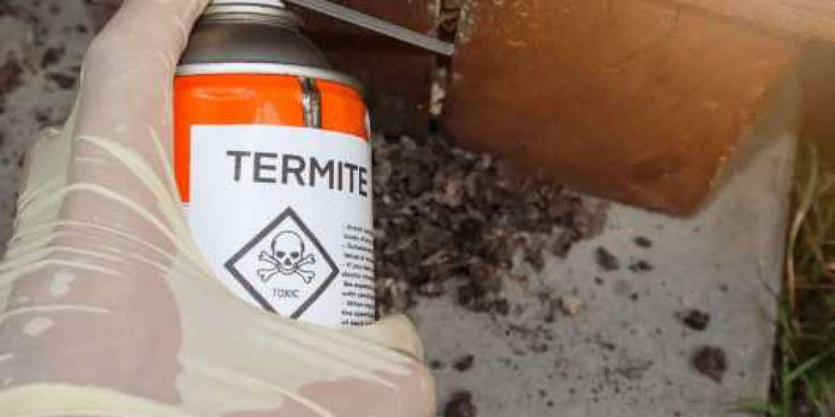 Termite Treatment Perth : Termites vs. Ants: How to Differentiate and Find the Right