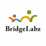 Bridge Labz
