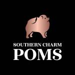 Southern Charm Poms