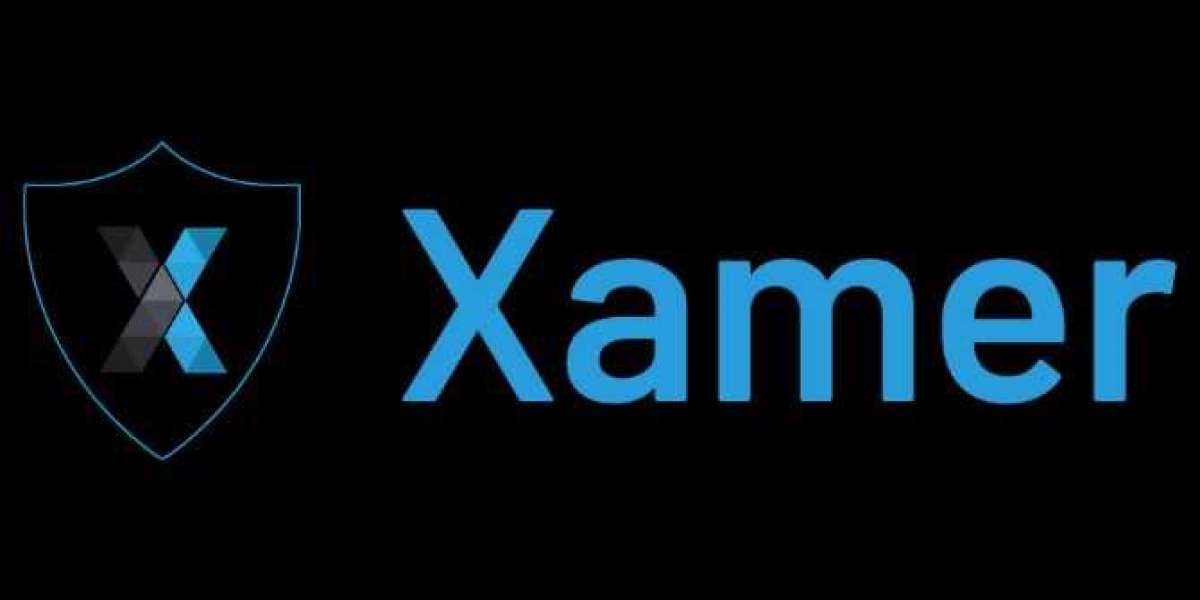 Xamer Audit - Safeguarding the Future of Blockchain Technology