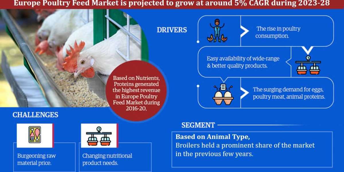 Europe Poultry Feed Market Analysis: Top Segment, Geographical, Leading Company, and Industry Expansion